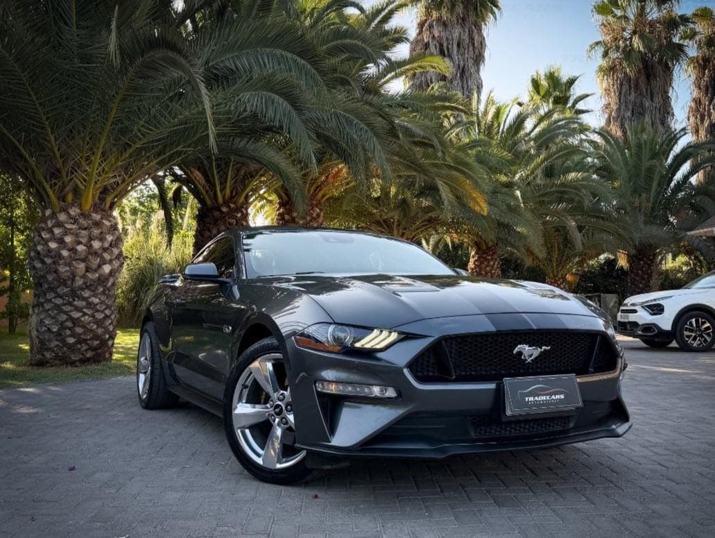 Ford MUSTANG 2019 (1/18)