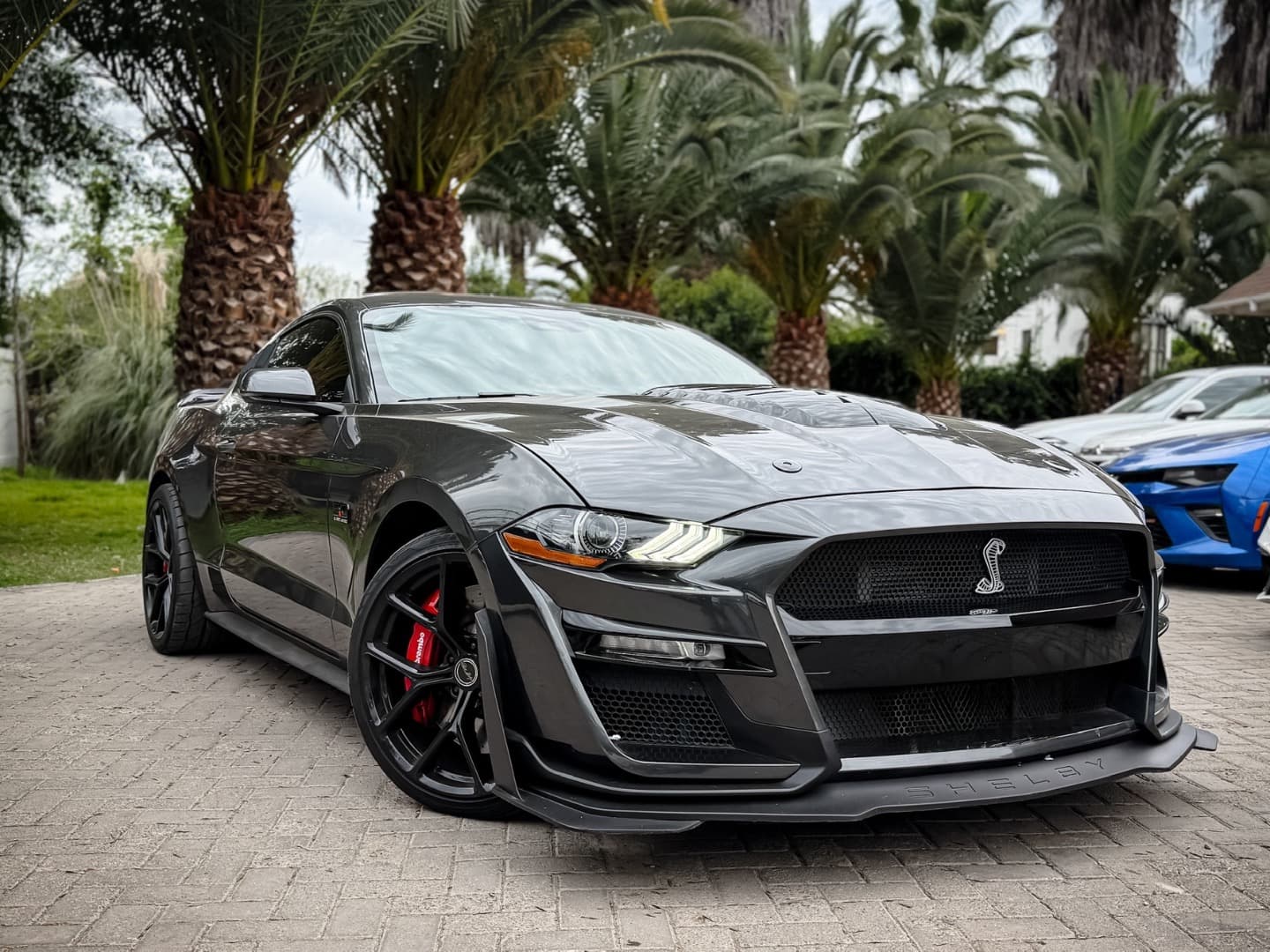 Ford MUSTANG 2020 (1/16)
